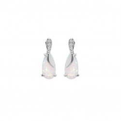 Boucles d'oreilles argent...