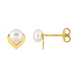 Boucles d'oreilles plaqué...