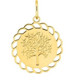 Pendentif or 9 carats jaune...