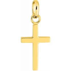 Pendentif or 9 carats jaune...