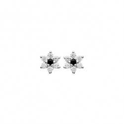 Boucles d'oreilles argent...