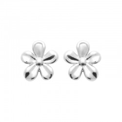 Boucles d'oreilles argent 