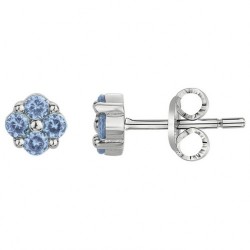 Boucles d'oreilles argent...