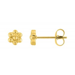 Boucles d'oreilles acier doré