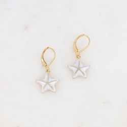 Boucles d'oreilles acier...