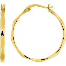 Boucles d'oreilles acier doré