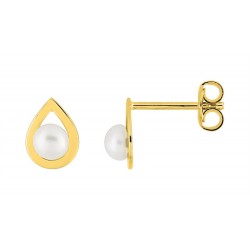 Boucles d'oreilles plaqué...