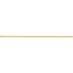 Bracelet acier doré 21CM