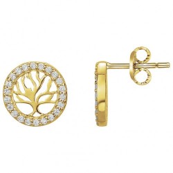 Boucles d'oreilles plaqué...