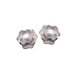 Boucles d'oreilles argent...
