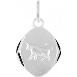 Pendentif argent Pendentif...