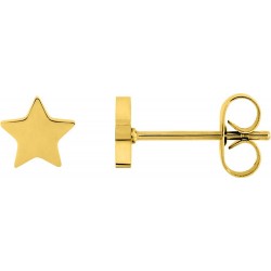 Boucles d'oreilles acier...
